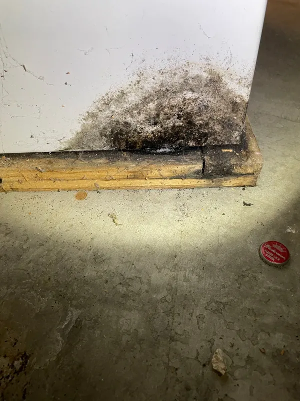 imgi_11_Gallery-Frame-4