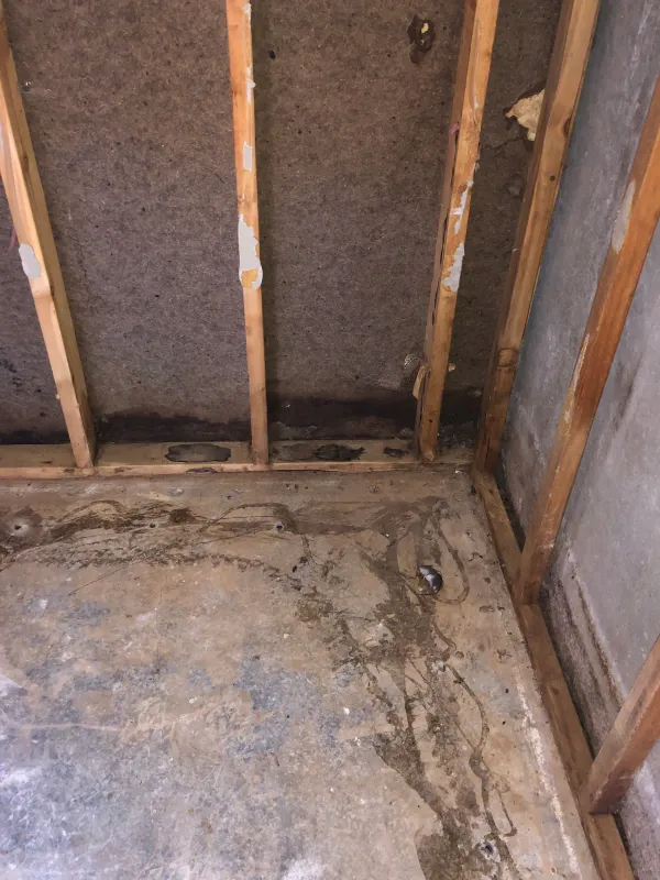 imgi_15_Gallery-Frame-8